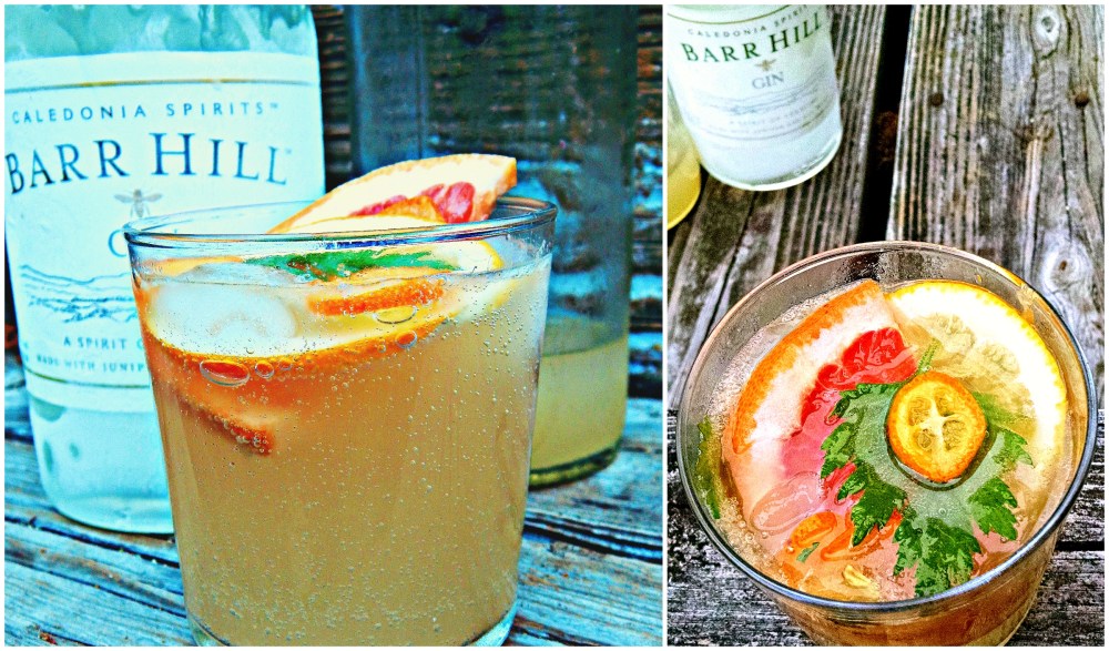 Regardez l'effervescence ! That is French for look at this fizzy, bubbly thing.  LOOK. AT. IT. While you're looking, envision the proper drinking vessel, as well the artfully arranged citrus curls I created during an activity I call, channel-knifing.